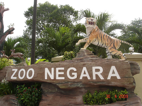 Zoo malaysia national of Zoo Negara